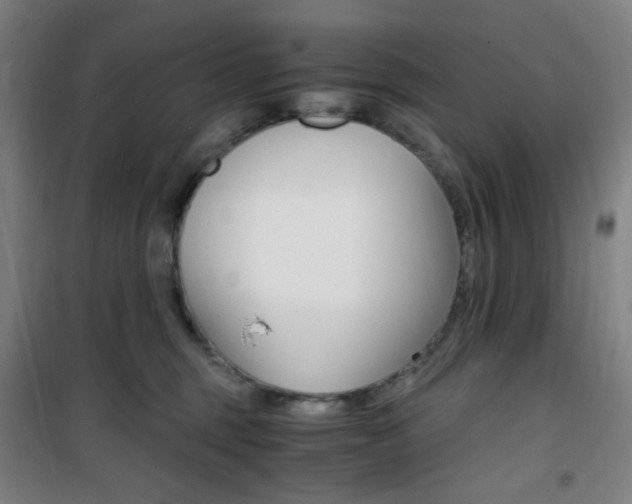 X0000101710375200807101414