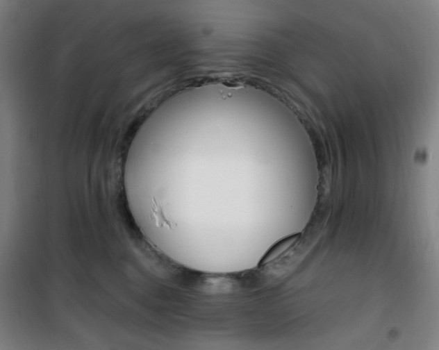 X0000101710376200807101414