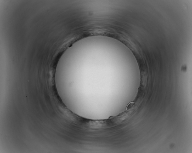 X0000101710378200807101414