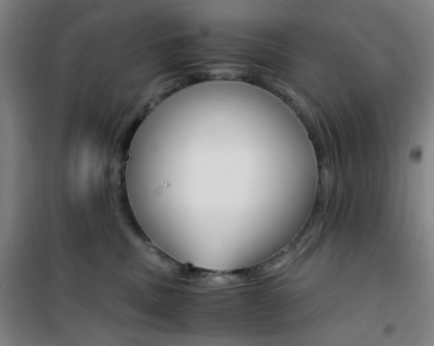 X0000101710379200807101414