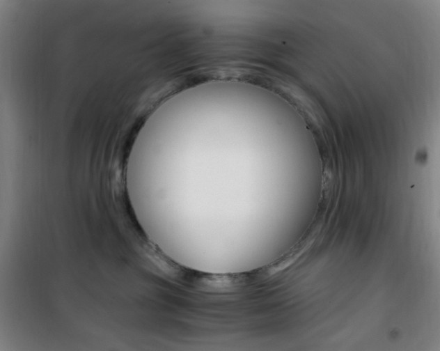 X0000101710381200807101414