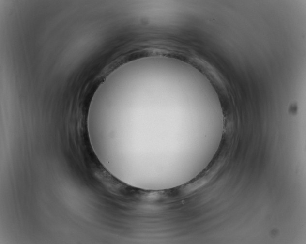 X0000101710382200807101414