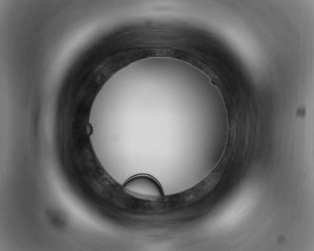 X0000101710383200807101414