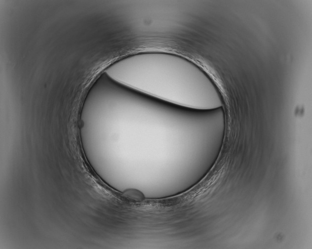 X0000101710385200807101413