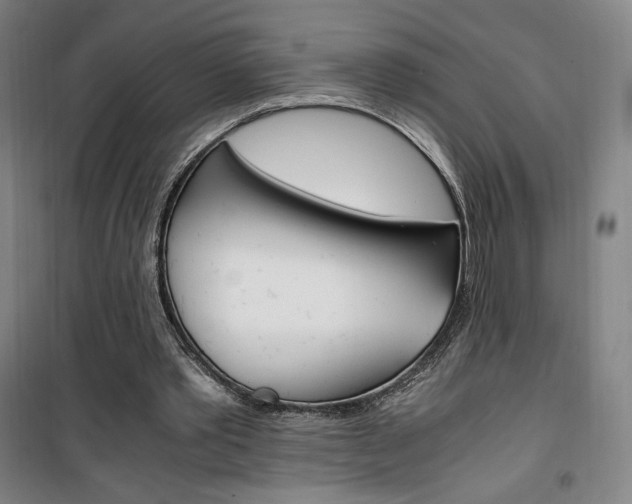 X0000101710389200807101413