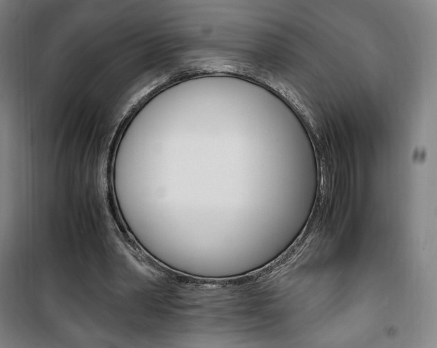 X0000101710390200807101413