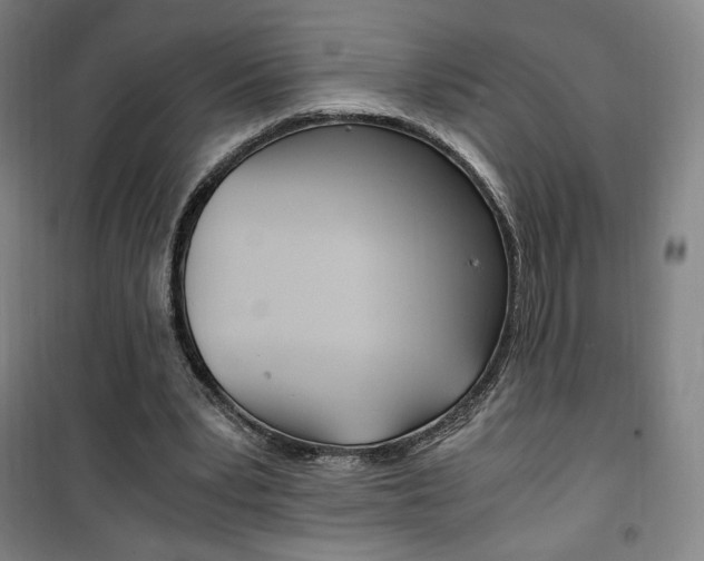 X0000101710391200807101413