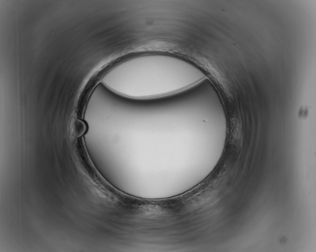 X0000101710392200807101413