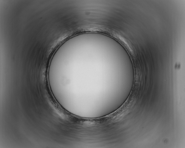 X0000101710394200807101413