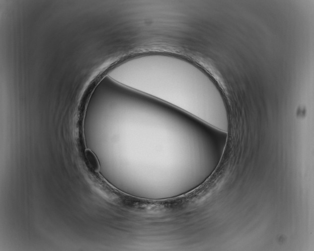 X0000101710395200807101413