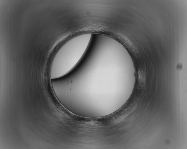 X0000101710396200807101413