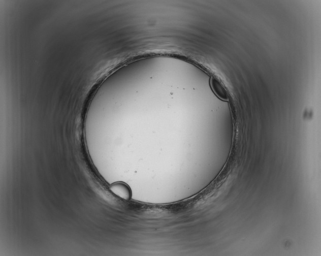 X0000101710397200807101413