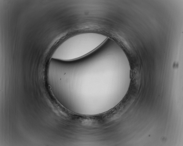 X0000101710400200807101413