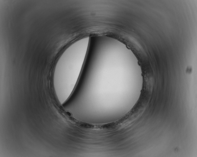 X0000101710404200807101413
