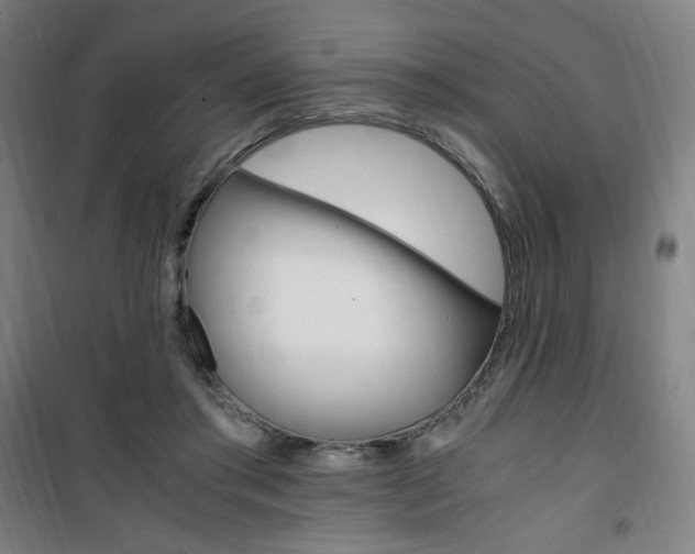 X0000101710405200807101413