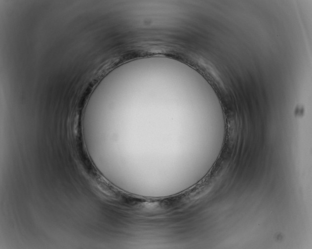 X0000101710406200807101413