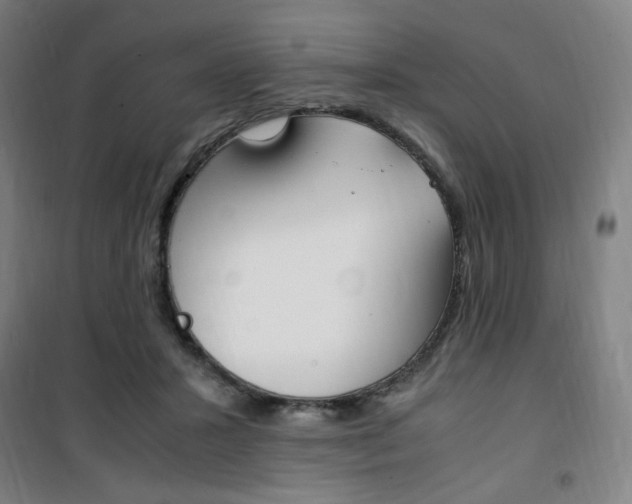 X0000101710407200807101413