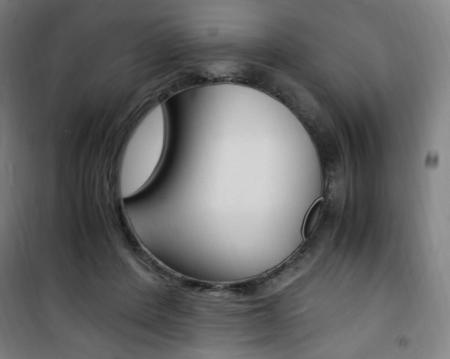 X0000101710408200807101413