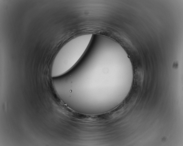 X0000101710412200807101413