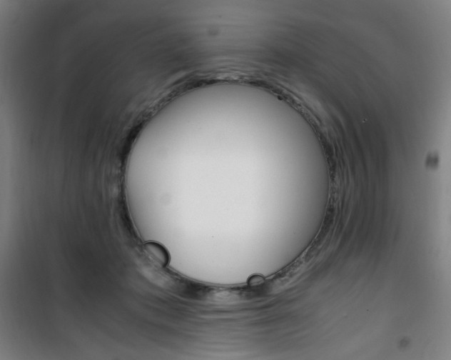 X0000101710413200807101413