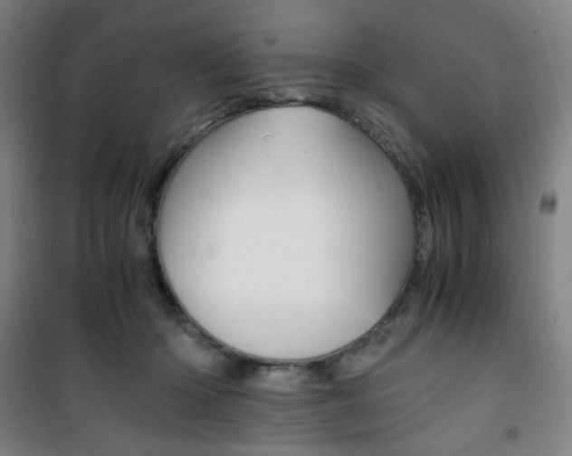 X0000101710414200807101413