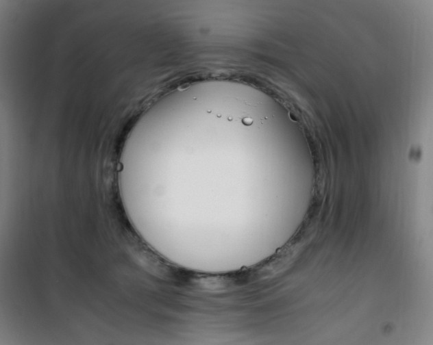 X0000101710417200807101413