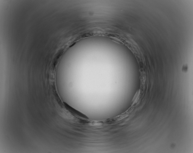 X0000101710419200807101413