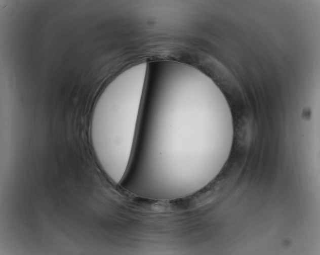 X0000101710420200807101413