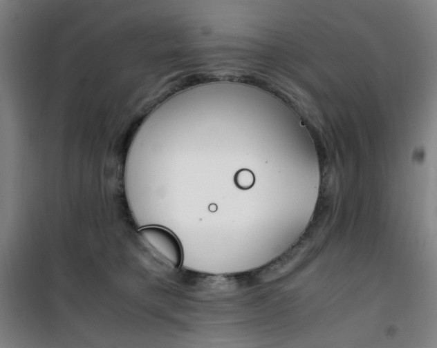 X0000101710421200807101413