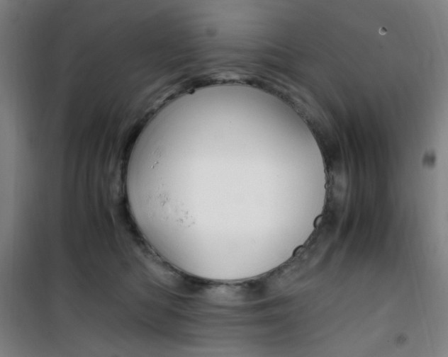 X0000101710422200807101413