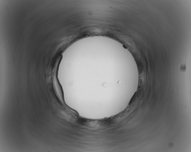 X0000101710423200807101413