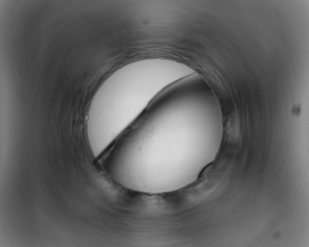 X0000101710424200807101413