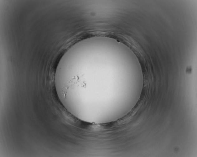 X0000101710425200807101413