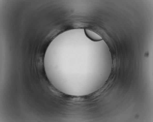 X0000101710426200807101413