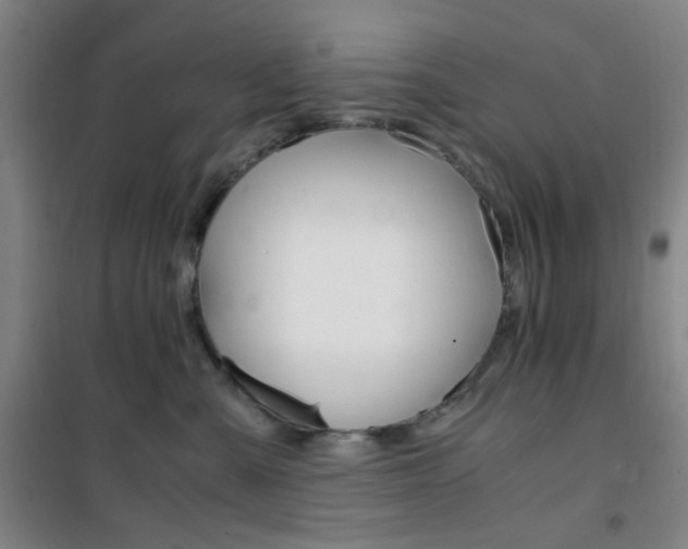 X0000101710427200807101413