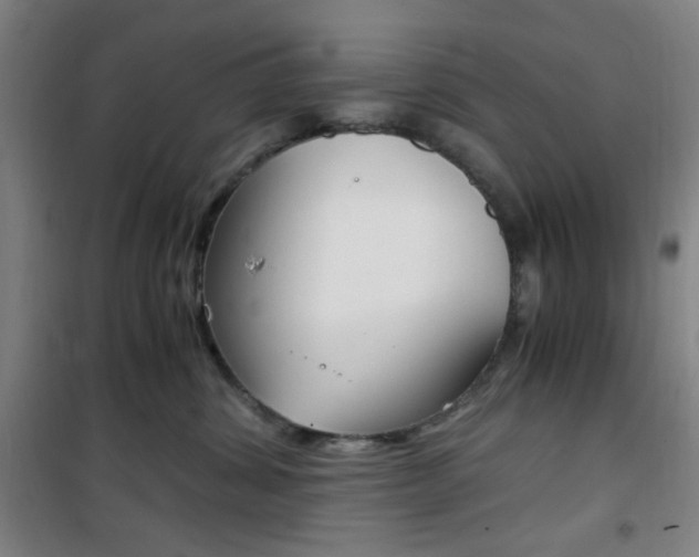 X0000101710428200807101413
