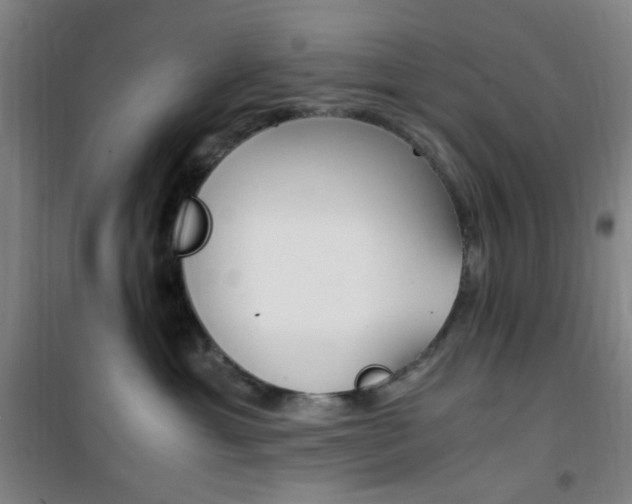 X0000101710429200807101413