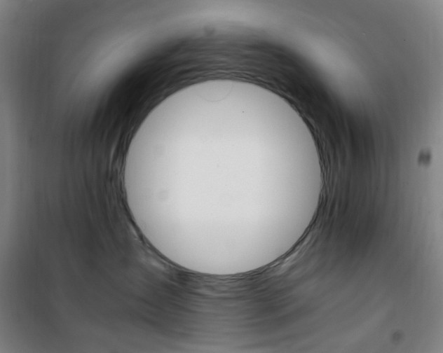 X0000101710431200807101413
