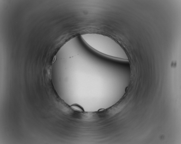 X0000101710432200807101413