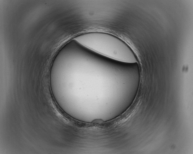 X0000101710433200807101412