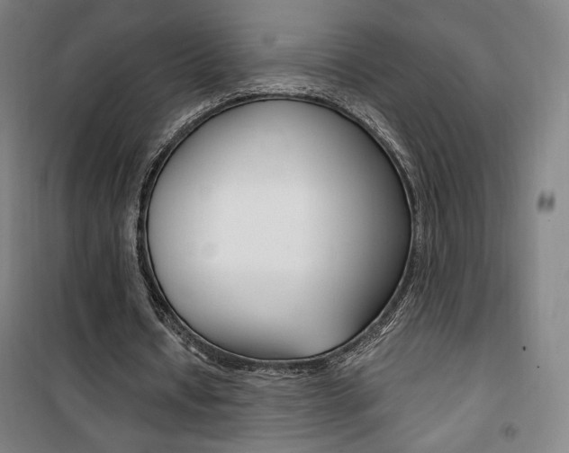 X0000101710434200807101412