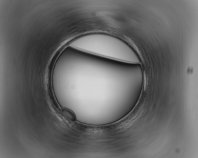 X0000101710435200807101412