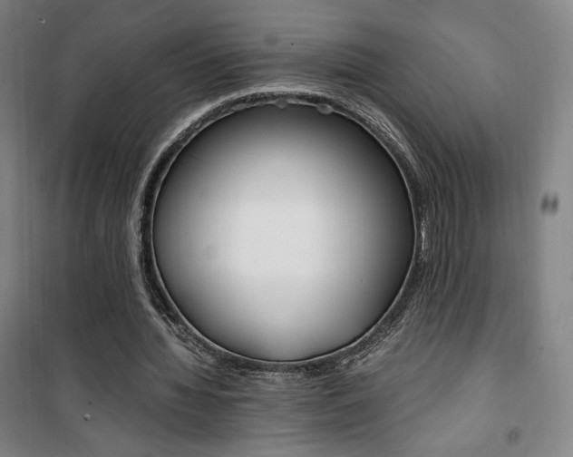 X0000101710436200807101412