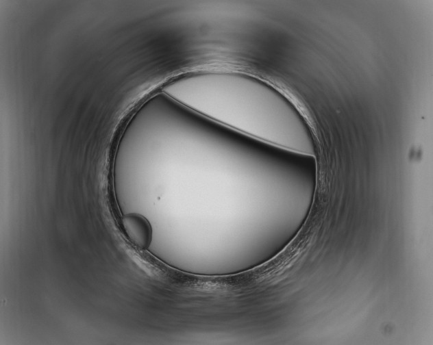 X0000101710437200807101412