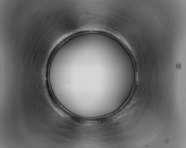 X0000101710438200807101412
