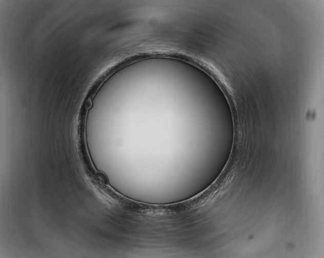 X0000101710439200807101412