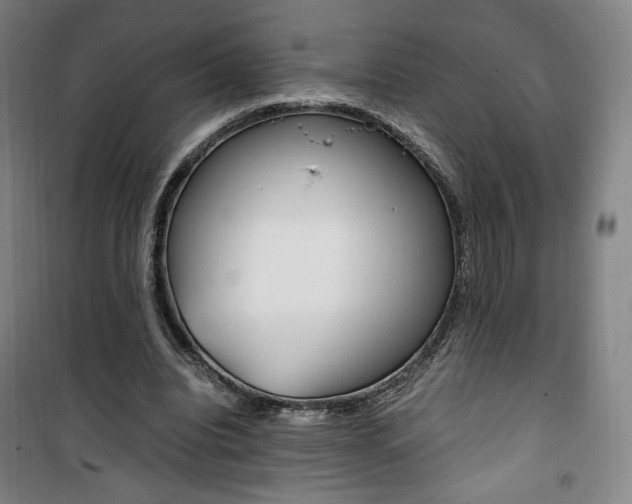 X0000101710440200807101412