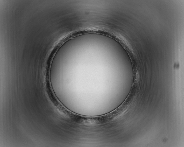 X0000101710444200807101412