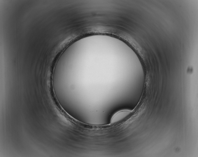 X0000101710445200807101412