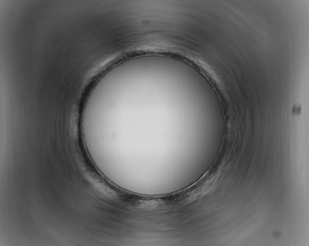 X0000101710446200807101412
